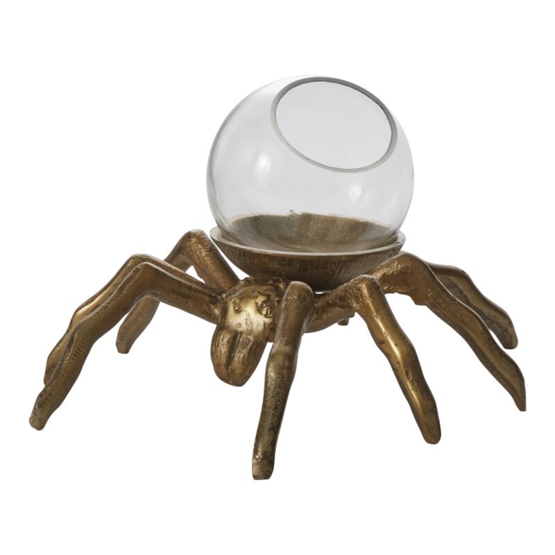 Arachnid Collection