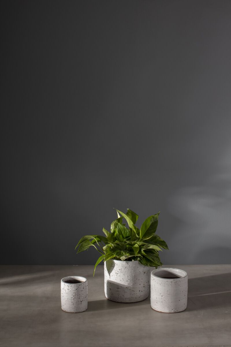 Adelhart Pot Collection