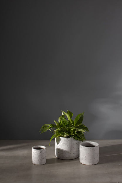 Adelhart Pot Collection