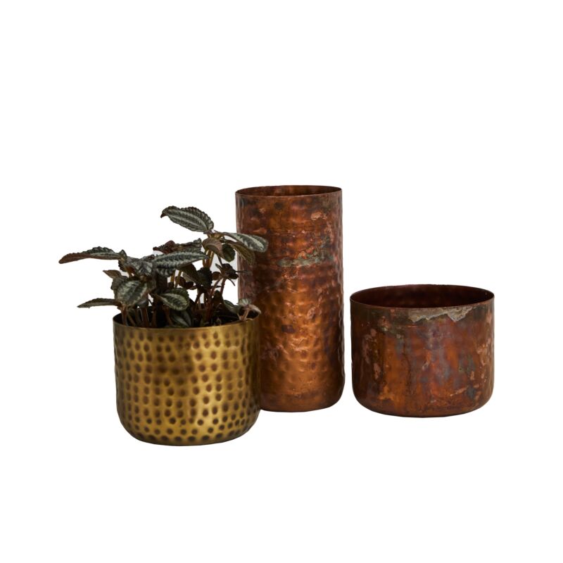 Alchemy Collection (sets of 4 or 6)