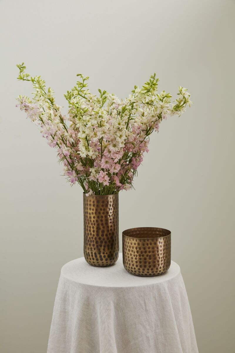 Alchemy Collection (sets of 4 or 6)