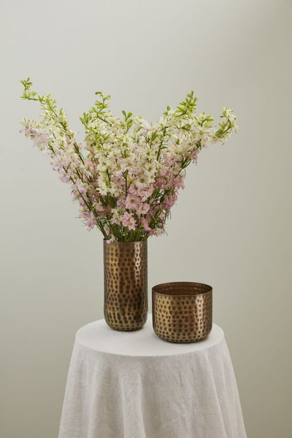 Alchemy Collection (sets of 4 or 6)