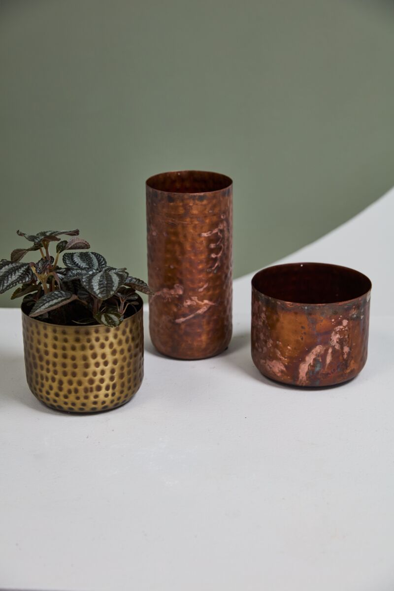 Alchemy Collection (sets of 4 or 6)