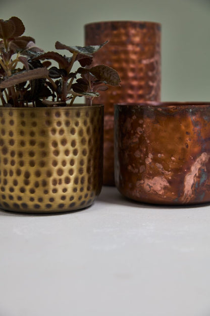 Alchemy Collection (sets of 4 or 6)