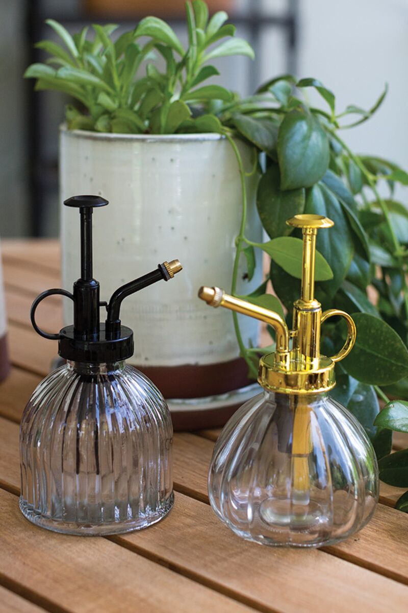 Carlise Plant Mister