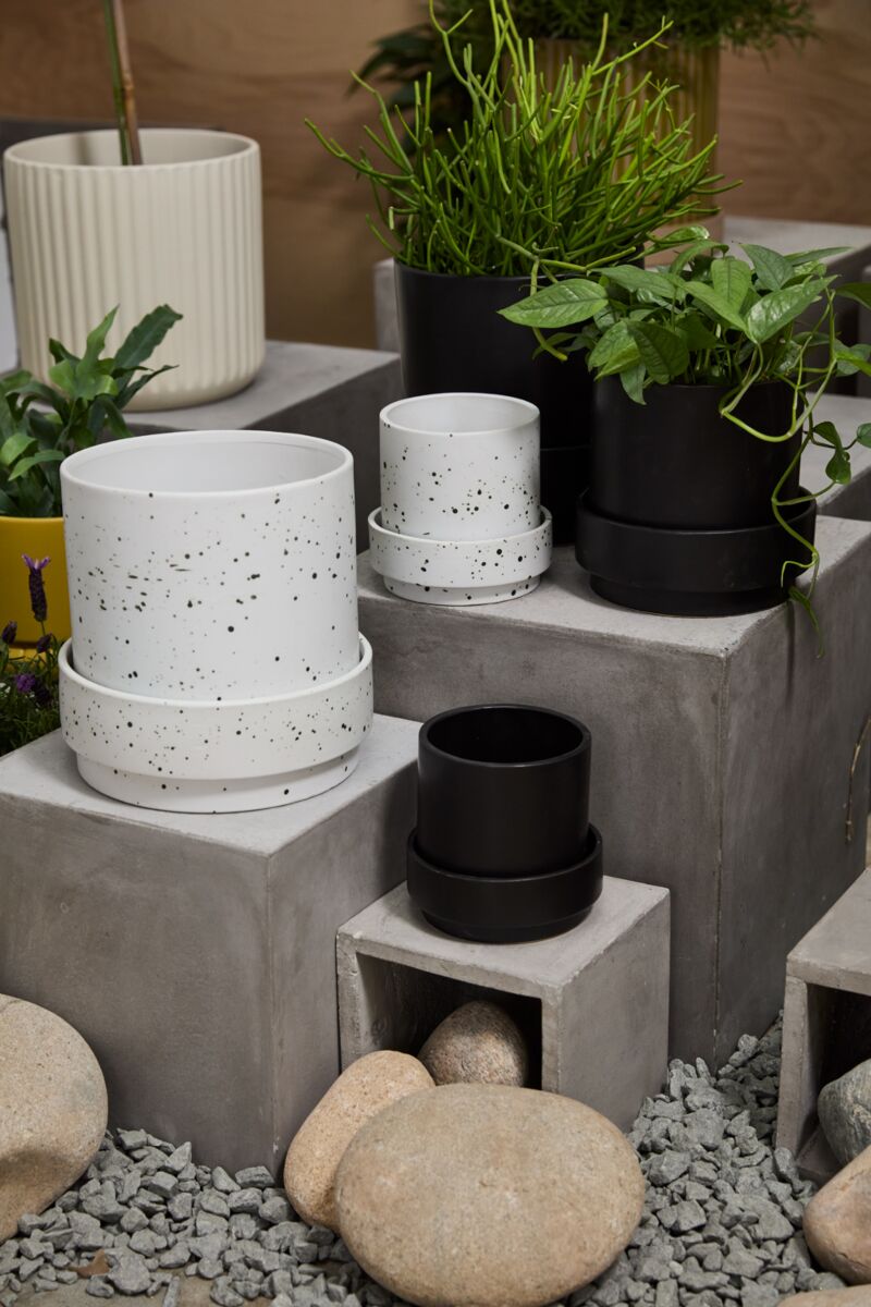 Claxton Pot with Saucer