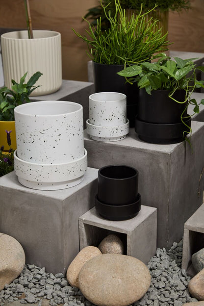 Claxton Pot with Saucer