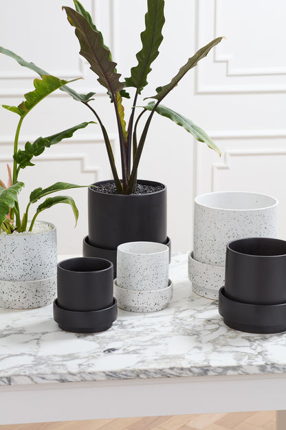 Claxton Pot with Saucer