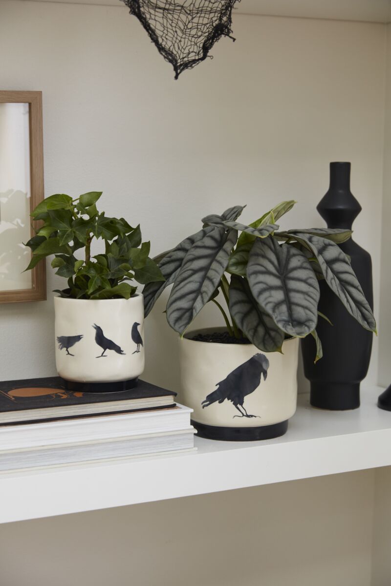 Corvus Pot (set of 2)