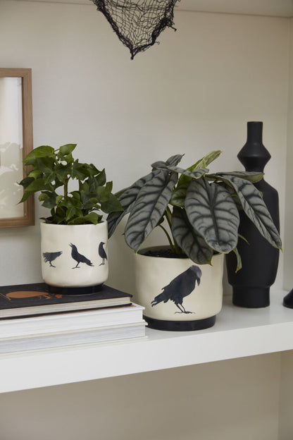 Corvus Pot (set of 2)