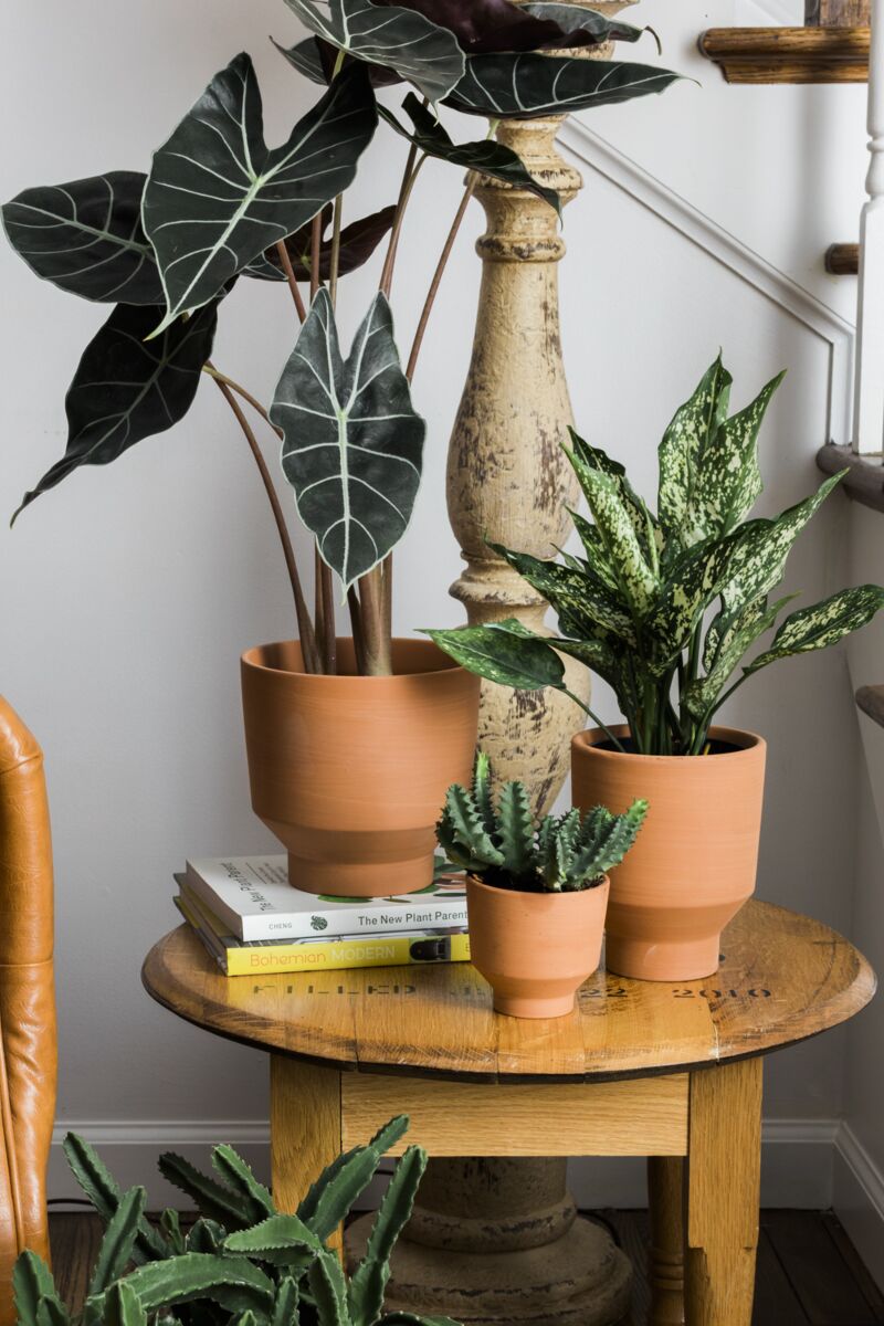 Crescendo Collection