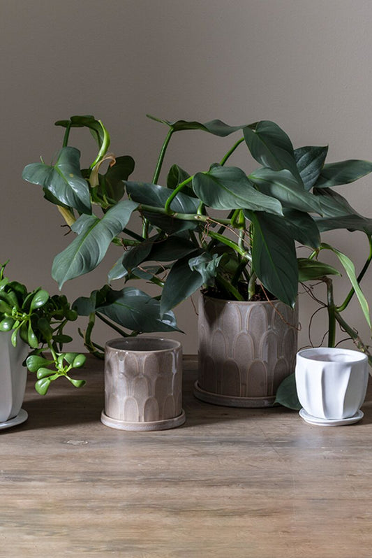 Duncan Pot 12" x 10"