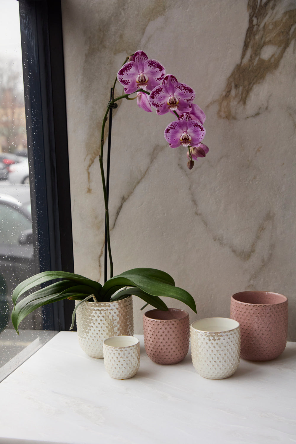 Everly Pot (sets of 2 & 4)