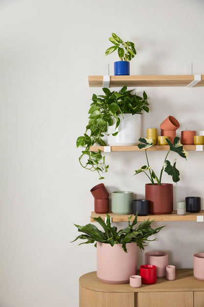 Kendall Color Collection