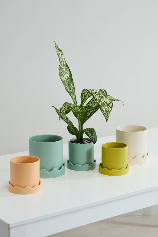 Pissaro Pot with Saucer